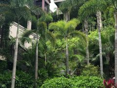 -广州都喜泰丽温泉度假酒店