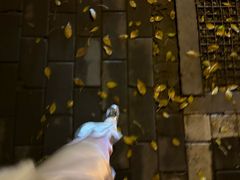-糖房咖啡(南锣鼓巷店)