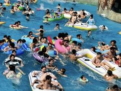 -重庆海昌加勒比海水世界