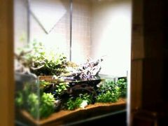 -Together·泰式按摩精油SPA(天山店)