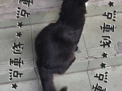 -徐汇区枫林菜市场