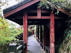 -大金鹰园