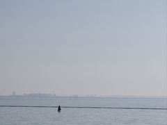 -贡湖湾湿地公园