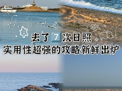 -日照海滨国家森林公园