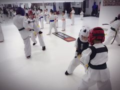 -极真空手道修远道场