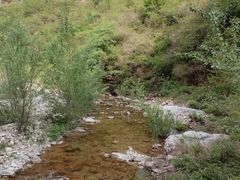 -沕沕水生态风景区