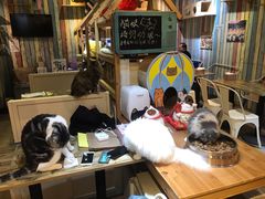 -小时光咖啡馆(开森度假森林店)