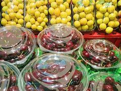 -胡麻地果研所(兰州中心BM店)