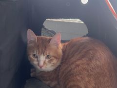 -宠瑞康动物医院