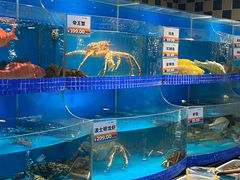 水产区-果蔬好生活超市(新荟城店)