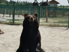 -鄂尔多斯野生动物园