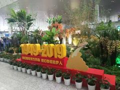 -温州龙湾国际机场