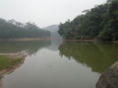 F:\图片\图像\羊台山公园\DSC01437-阳台山森林公园