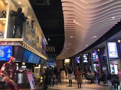 -新影联·华谊兄弟影院(望京店)
