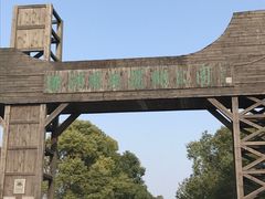 -溱湖国家湿地公园