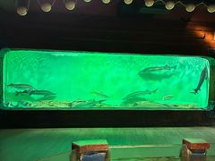 -太平洋海底世界