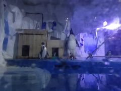 -多彩贵州城极地海洋世界