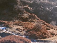 -墨石公园景区