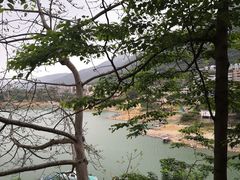 -广州市流溪河国家森林公园