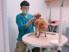 -瑞派宠物医院·24小时骨科·心脏·核磁(哈尔滨南岗店)