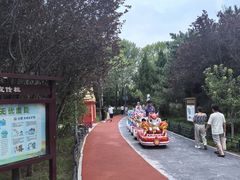 -大兴滨河森林公园