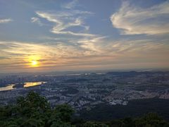 -紫金山山顶公园