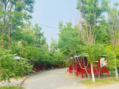 -西青郊野公园
