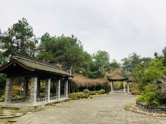 -铁山坪森林公园