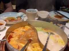-洪氏嗨捞·猪肚鸡火锅(阳光天地店)