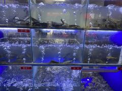 -石锅苗苗鱼(武汉首店)