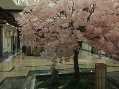 -添赐温泉馆(上南路店)