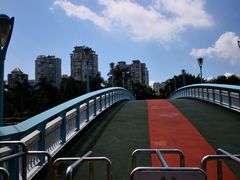 -白鹭洲公园