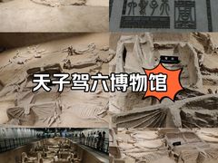 -洛阳周王城天子驾六博物馆