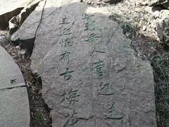 -香雪海