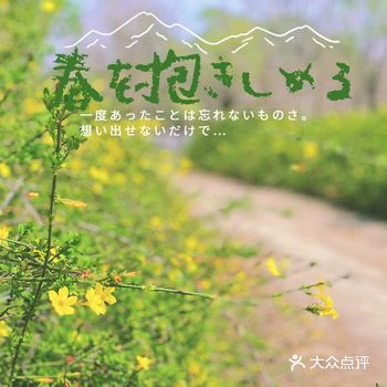 意外发现公司旁边的小公园，花开满地，海棠小路也能感受
