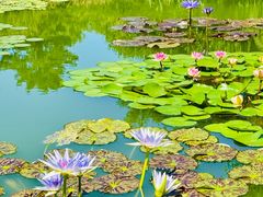 -国家植物园南园