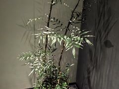 -望京辣宴·古法川菜(望京店)
