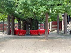 -浮来山风景区