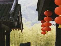 -大唐贡茶院