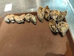 -Oyster Talks 四度蚝法餐厅