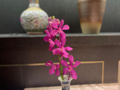 -囍凤楼·粤菜·点心·火锅(温特莱店)