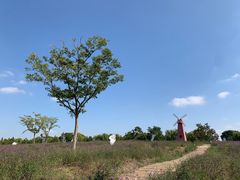 -同里国家湿地公园