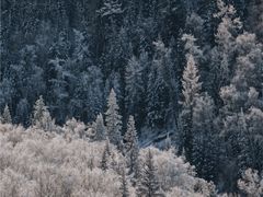 -果子沟大桥