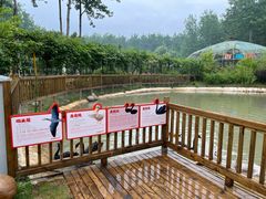 -合肥滨湖国家森林公园