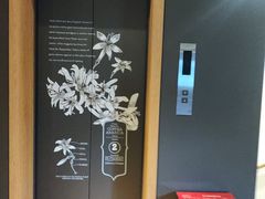 -星巴克(红房子店)