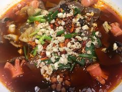 水煮毛血旺-俭朴菜(鲁磨路店)