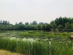 -东郊湿地公园