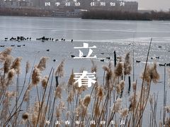 -天津水上公园