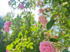 -山有花啡餐厅(常营总店)