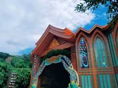 -西双版纳原始森林公园